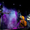 The talking bugs - palco.jpg